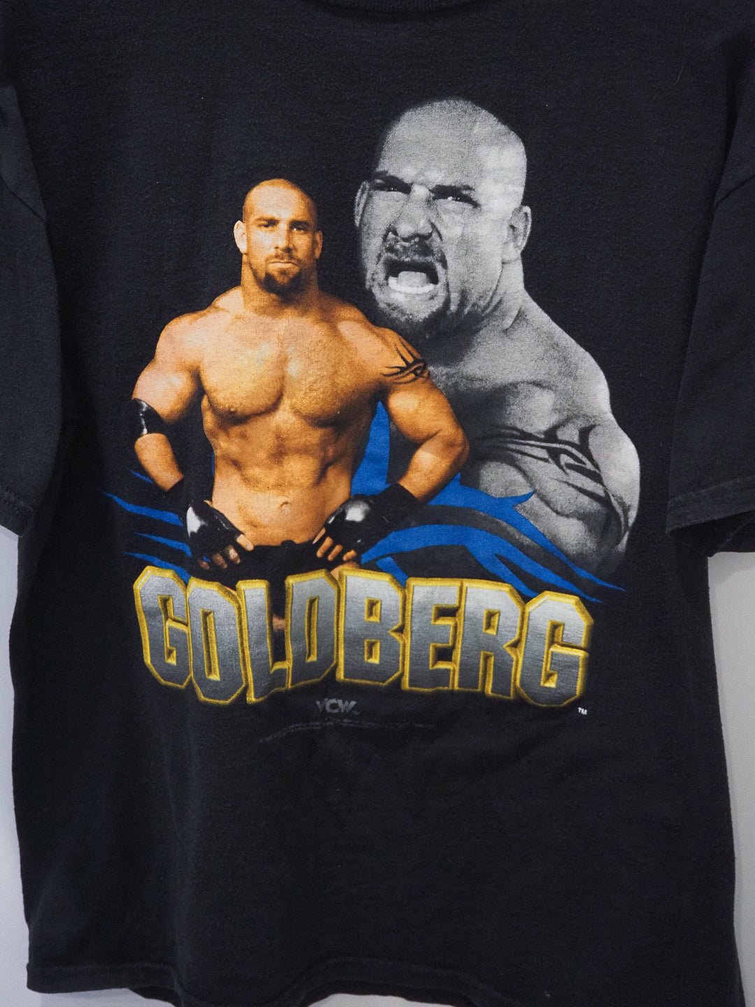 Vintage 1998 WCW Goldberg T-Shirt – Tultex Tag, Size L Clothes - WCW - Afterthought Vintage